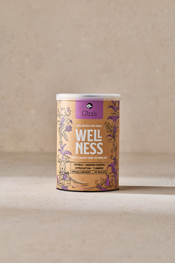 Wellness Dog Treats