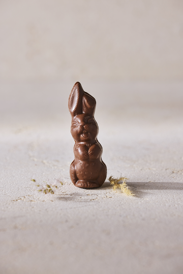 Single Chocolate Bunny - Hazelnut Praline
