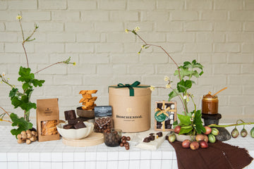 Indulgence Collection Box